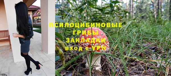 СК Кинешма